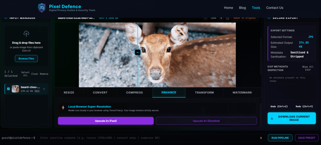 The upscale options panel showing 2x and 4x selection with image ready to process